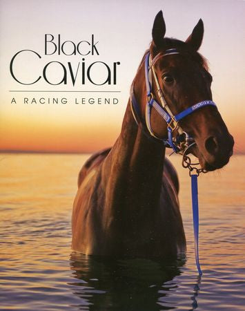 Two Folders 50 x 2013 Stamps Celebrating Black Caviar her Amazing Wins
