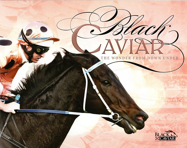 Two Folders 50 x 2013 Stamps Celebrating Black Caviar her Amazing Wins