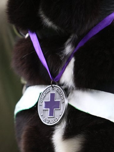 Sarbi – Special Issue Stamp - Australian Special Services Dog Serving in Afghanistan